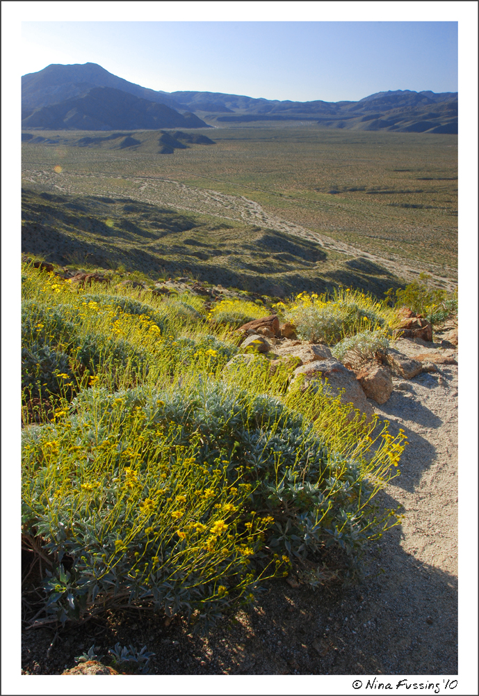 20100329_0180_Yaqui Pass Hike JPG