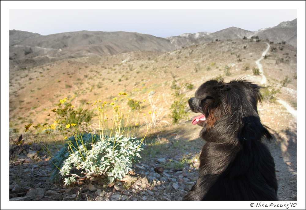 20100330_0201_Polly View JPG