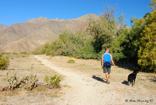 20100408_0299_Dog Walk outside Palm Canyon RV Park (JPG)