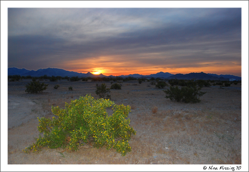 20100417_0411_Sunset at Quartzite (JPG)