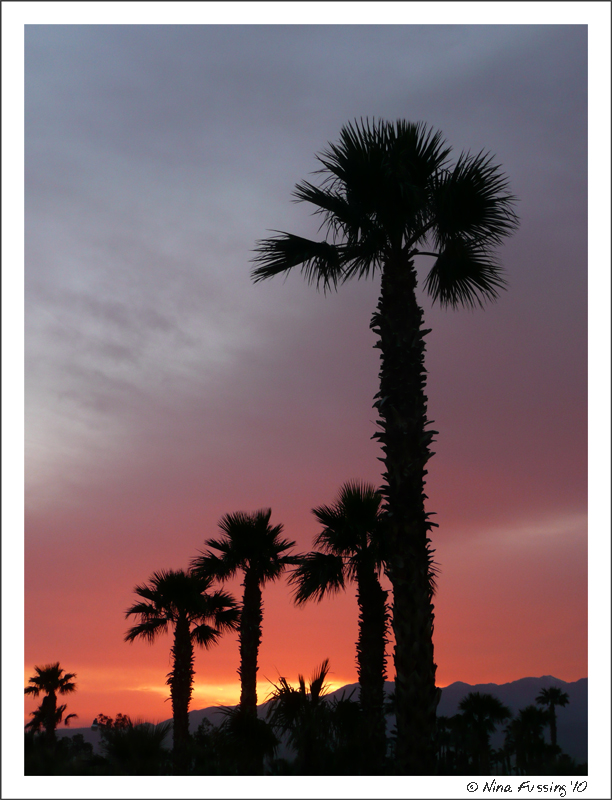 Sams Spa (Sunset) JPG