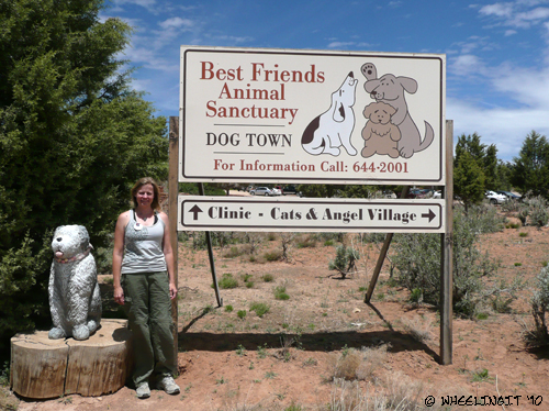 2010-05 May DogTown1 (JPG)