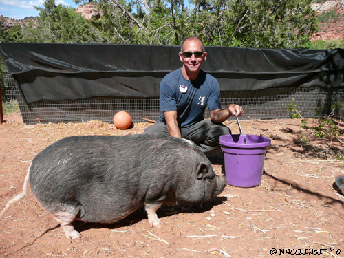 2010-05 May Piggy Paradise (9) (JPG)