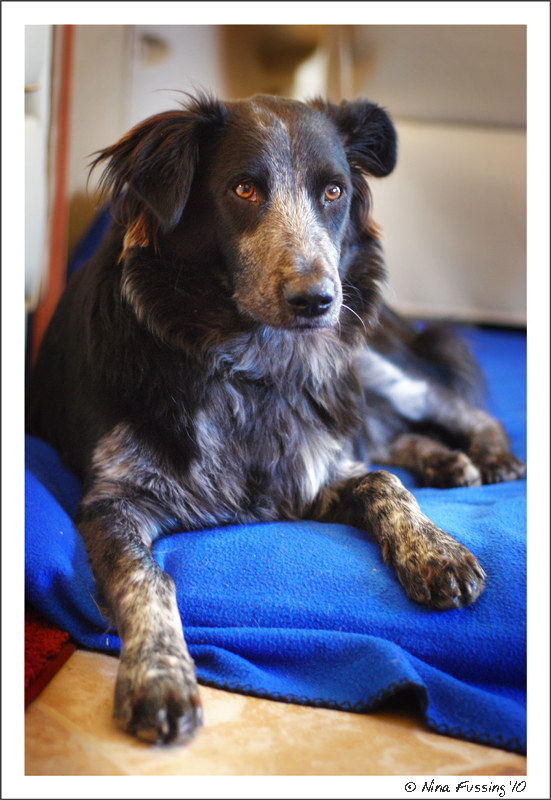20100409_0308_Polly (JPG)