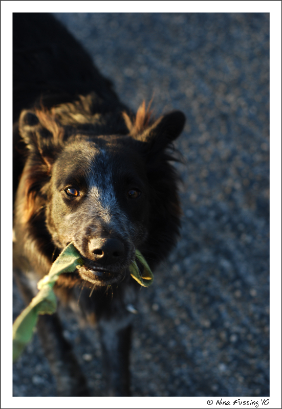 20100409_0313_Polly (JPG)