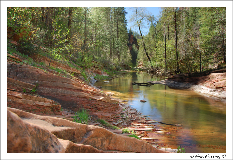 20100507_0606_West Fork Hike (Sedona) (jpg)