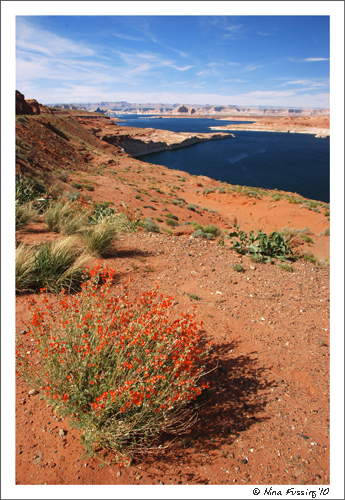 20100520 Lake Powell (8) (JPG)