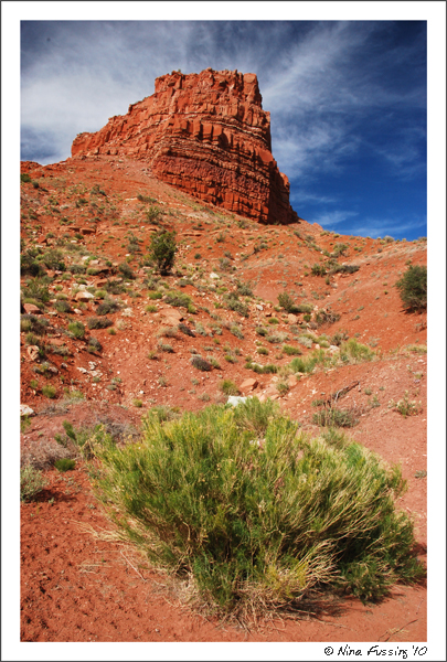 20100527 Kanab (2) (JPG)