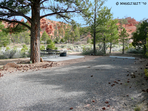 201006 June Red Canyon NF Campground (4) (JPG)
