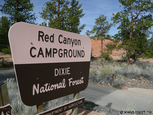 201006 June Red Canyon NF Campground (6) (JPG)