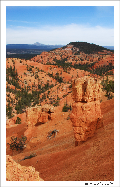 20100601 Red Canyon (47) (JPG)
