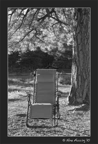 20100605 Singletree Campsite (17) (JPG2)
