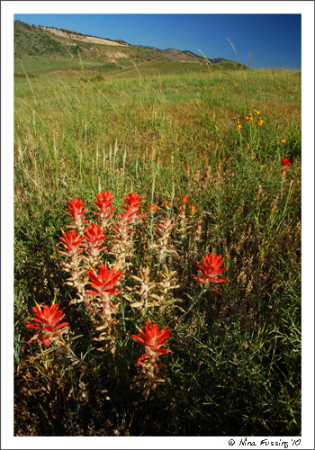 20100629 William F Hayden Park (26) (JPG)