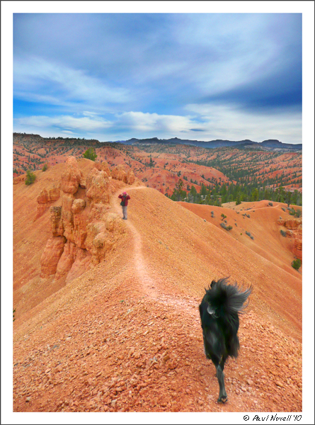 The road to our kind of place....
