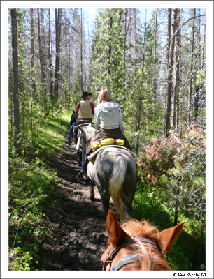 201007 July HorsebackRide (JPG)