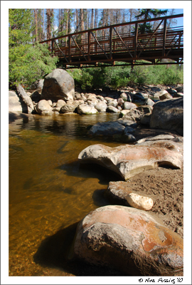 20100710 River Trail Open Space Hike (54) (JPG)