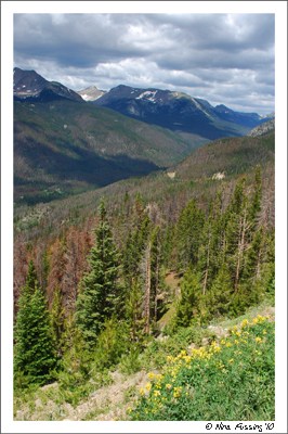 20100712 Rocky Mountain National Park1 (1) (JPG)