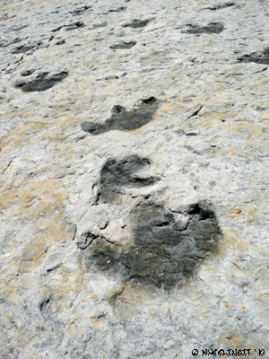 Dinasaur Ridge (JPG)