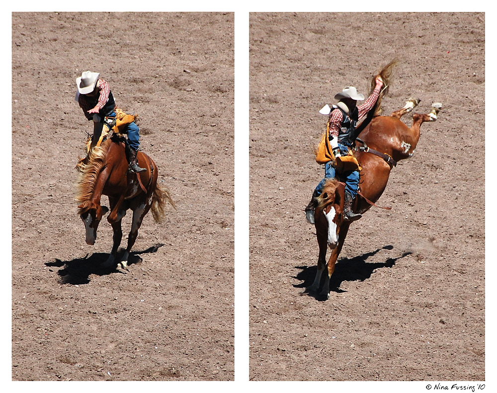 Rodeo (JPG)