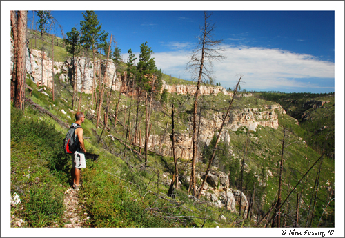20100730 Hellhole Canyon Hike SD (27) (JPG)