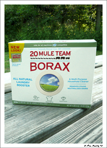201008 Aug Borax (1) (JPG)