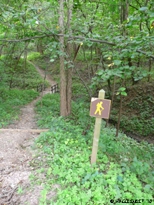 201008 Aug Stone State Park Iowa (7) (JPG)