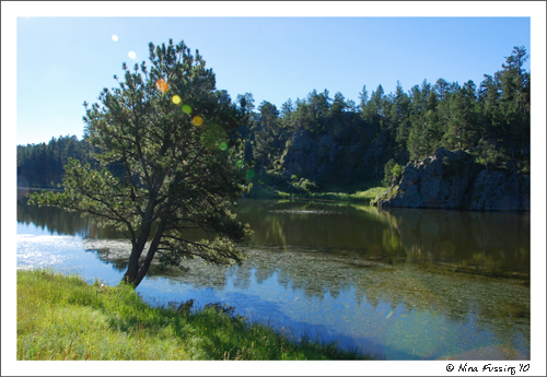 20100807 Custer State Park (5) (JPG)