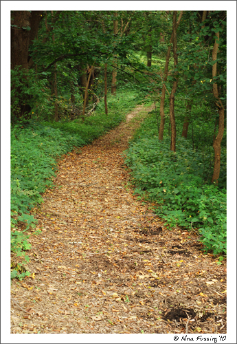 20100818 Stone State Park (4) (JPG)