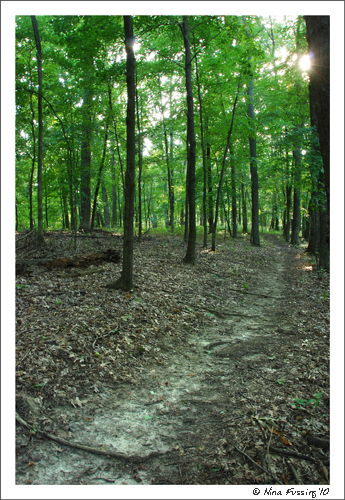 20100824 Babler State Park (JPG)