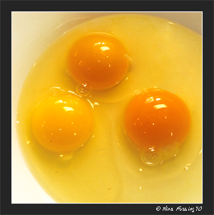 20100901 The Old Homestead Eggs (19) (JPG)