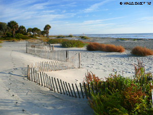 Hunting Island Beach