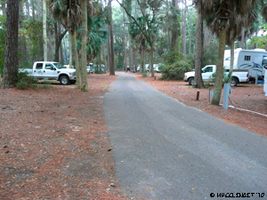 2010 Oct Hunting Island Campground (15) (JPG)