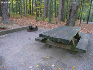 2010 Oct Lake Powhtan (49) (JPG)
