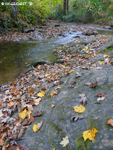 2010 Oct Lake Powhtan (69) (JPG)