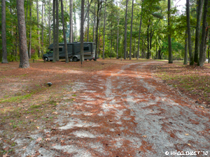 2010 Oct Sumter Forest (1) (JPG)