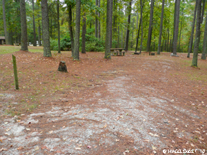 2010 Oct Sumter Forest SC (13) (JPG)