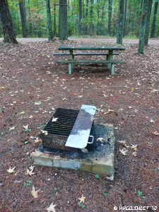 2010 Oct Sumter Forest SC (JPG)