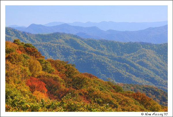 20101015 Blue Ridge Parkway (27) (JPG)