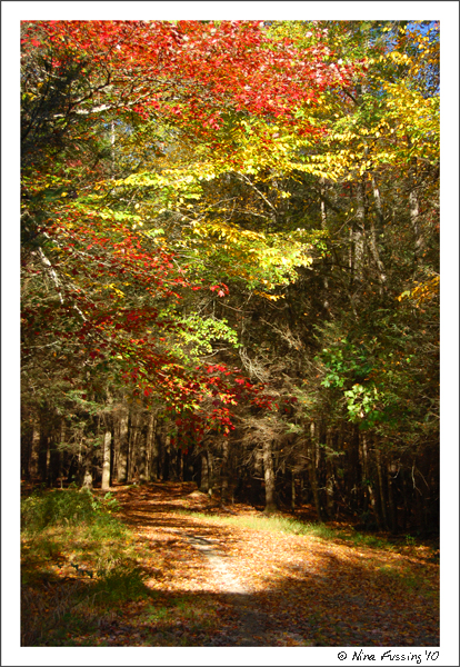 20101016 Lake Powthan (9) (JPG)