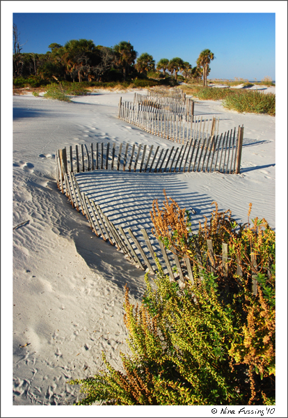 Hunting Island, SC