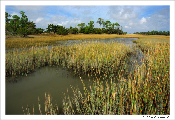 Marsh Walk, SC