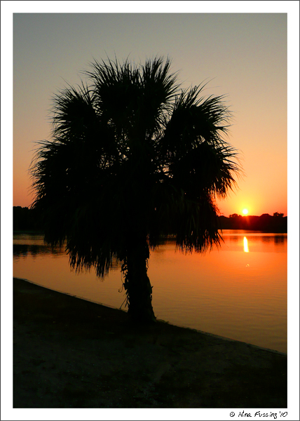 Fort De Soto