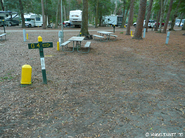 2010 Oct Jekyll Island Campground (22) (JPG)