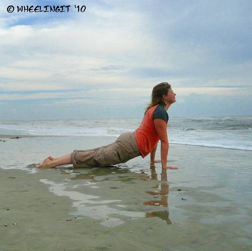 Urdhva Mukha Svanasana