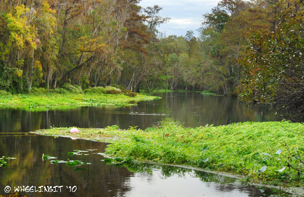 Silver River SP