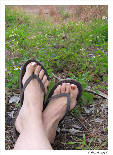 Markham Park