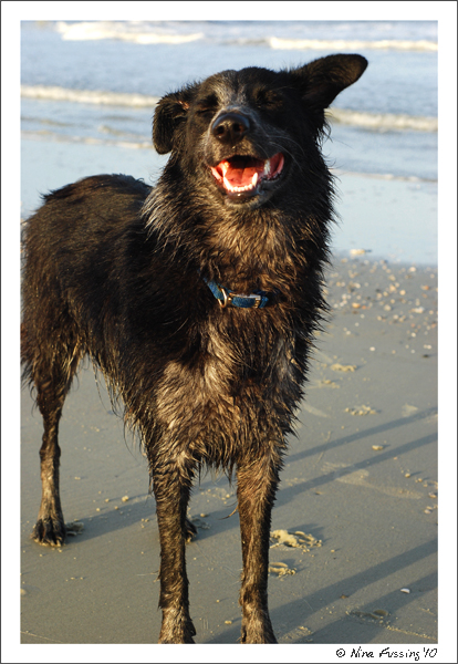 Hunting Island Beach