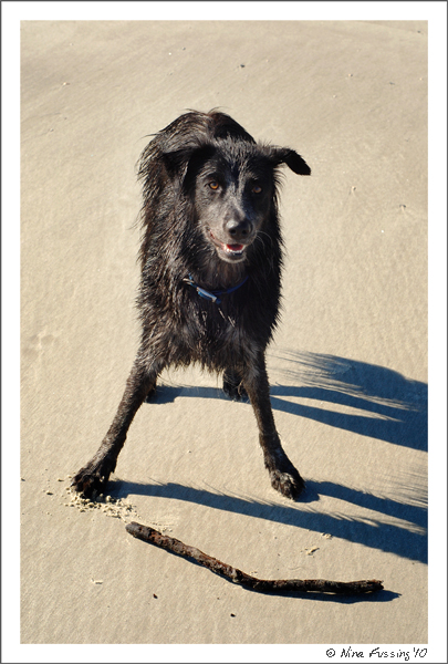 Jekyll Island Beach