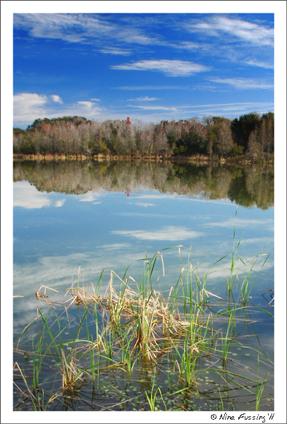 20110130 Alafia River SP (38) (JPG)