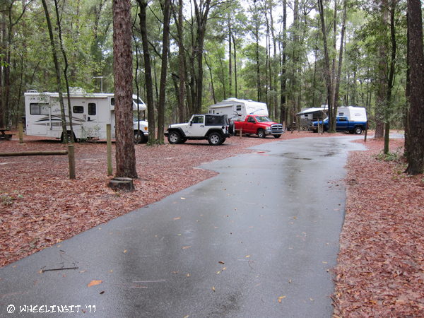 201102 Feb Suwanee River Campground (14) (JPG)